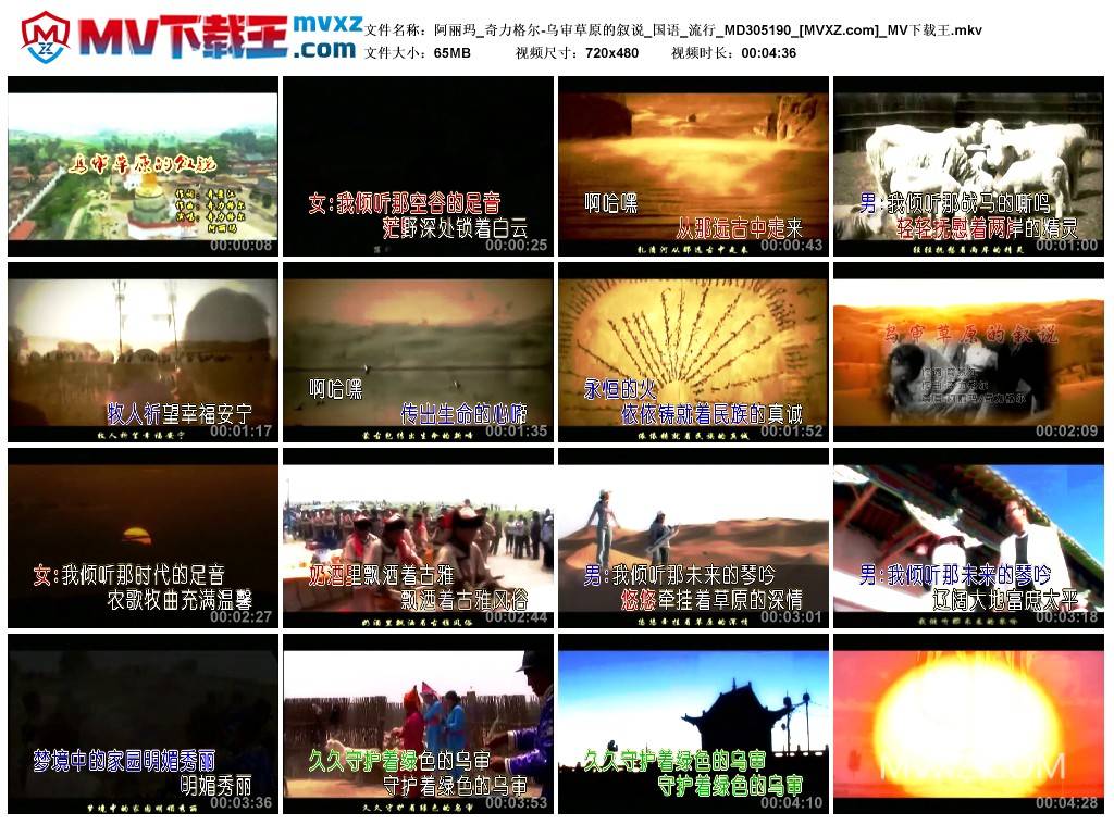 阿丽玛_奇力格尔-乌审草原的叙说_国语_流行_MD305190